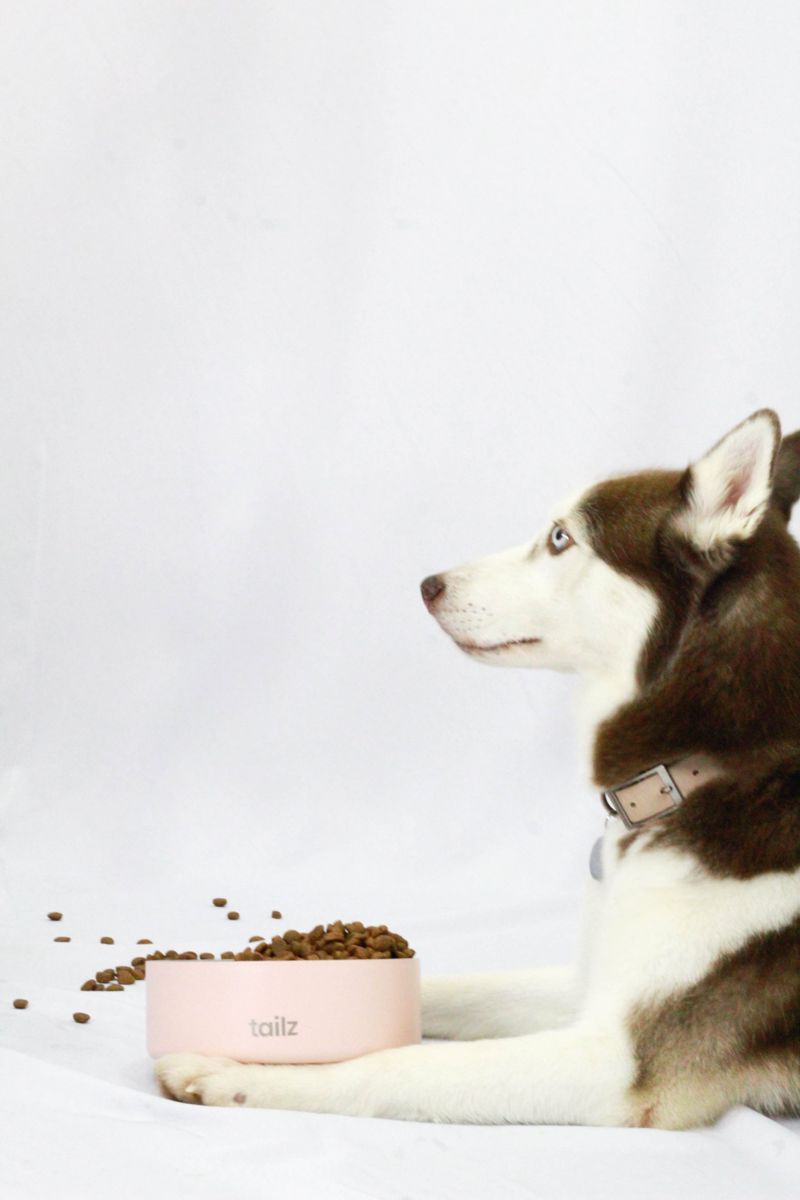 Kaia echada junto a su plato