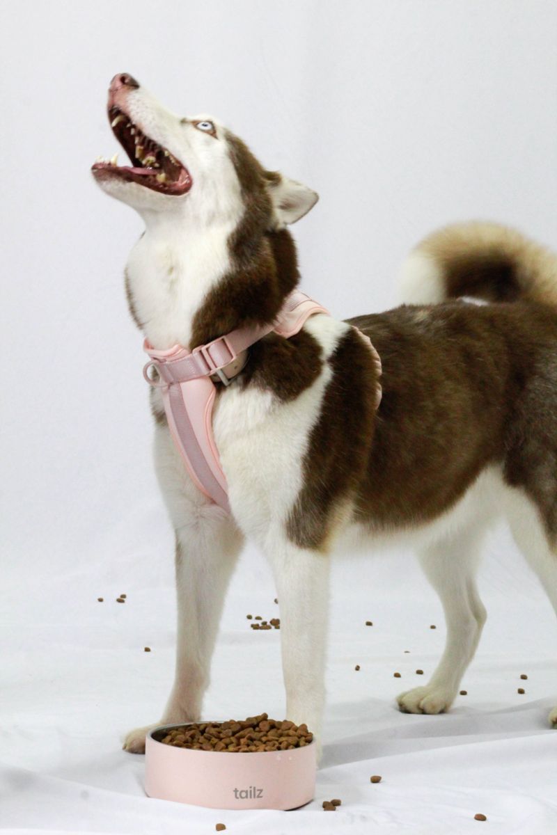 Kaia feliz con su pechera rosa